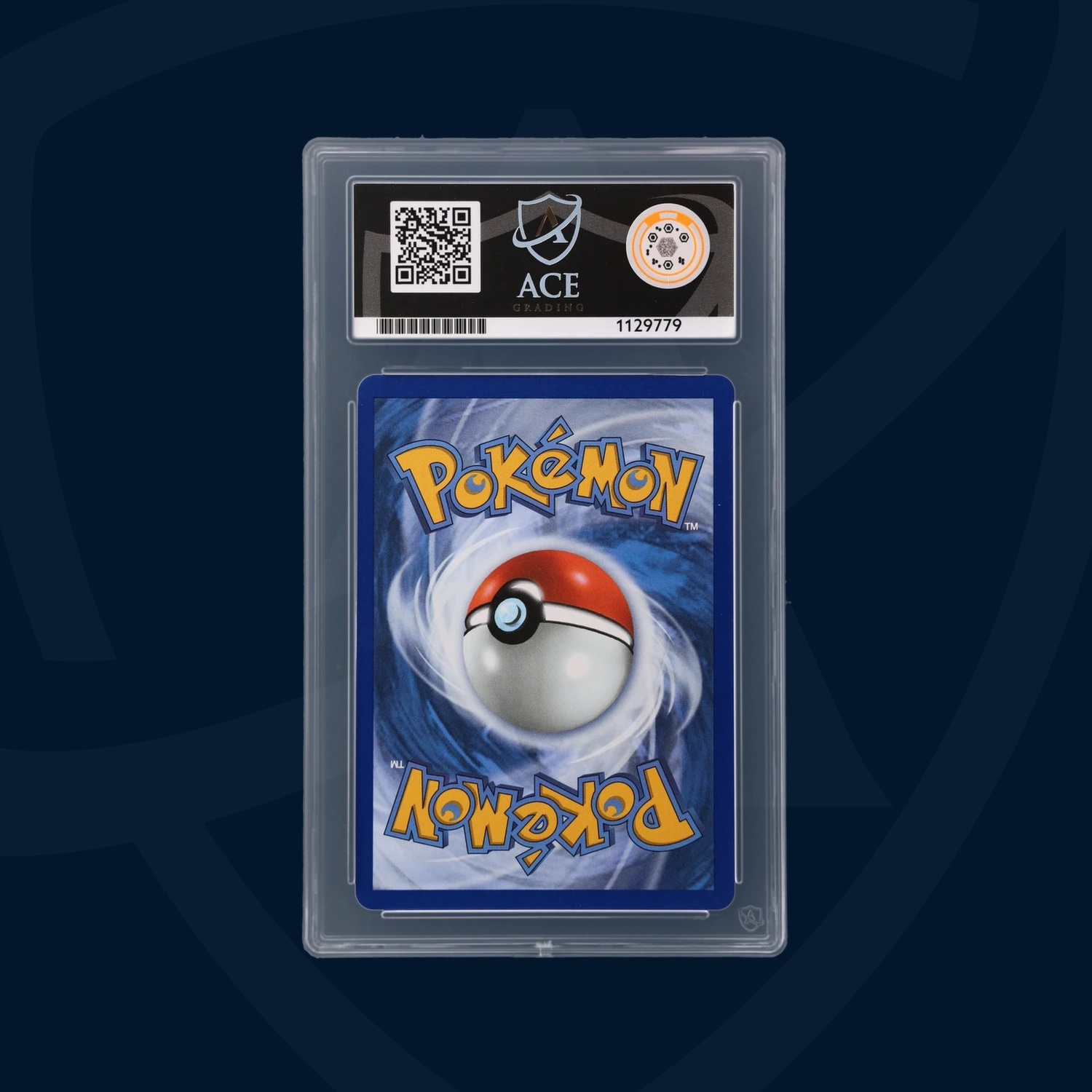 squirtle back squirtle back